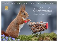 Eichhörnchen Luna und ihre Kinder (Tischkalender 2024 DIN A5 quer), CALVENDO Monatskalender