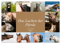 Das Lachen der Pferde - Lustige Gesichter (Wandkalender 2024 DIN A3 quer), CALVENDO Monatskalender