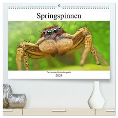 Faszination Makrofotografie: Springspinnen (hochwertiger Premium Wandkalender 2024 DIN A2 quer), Kunstdruck in Hochglanz - Mett Photography, Alexander