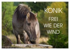 Konik - Frei geboren (Wandkalender 2024 DIN A2 quer), CALVENDO Monatskalender