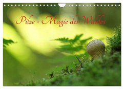 Pilze - Magie des Waldes (Wandkalender 2024 DIN A4 quer), CALVENDO Monatskalender - Klapp, Lutz