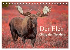 Der Elch - König des Nordens (Tischkalender 2024 DIN A5 quer), CALVENDO Monatskalender