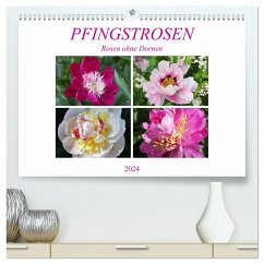 PFINGSTROSEN Rosen ohne Dornen (hochwertiger Premium Wandkalender 2024 DIN A2 quer), Kunstdruck in Hochglanz