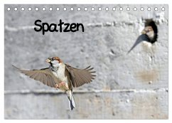 Spatzen (Tischkalender 2024 DIN A5 quer), CALVENDO Monatskalender