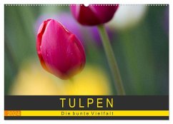 Tulpen - die bunte Vielfalt (Wandkalender 2024 DIN A2 quer), CALVENDO Monatskalender