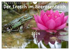 Der Frosch im Seerosenteich (Wandkalender 2024 DIN A4 quer), CALVENDO Monatskalender - Adam, Rainer Kauffelt, Heike