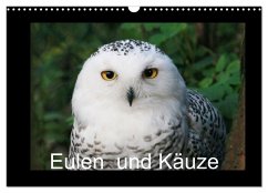 Eulen und Käuze (Wandkalender 2024 DIN A3 quer), CALVENDO Monatskalender