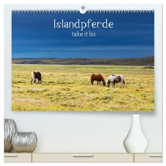 Islandpferde take it Isi (hochwertiger Premium Wandkalender 2024 DIN A2 quer), Kunstdruck in Hochglanz