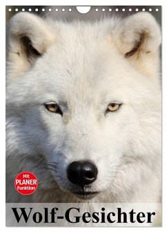 Wolf-Gesichter (Wandkalender 2024 DIN A4 hoch), CALVENDO Monatskalender - Stanzer, Elisabeth