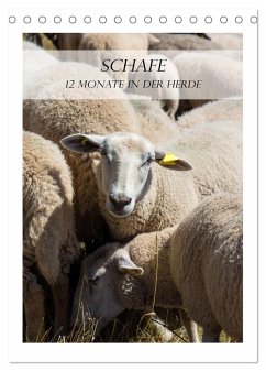 Schafe - 12 Monate in der Herde (Tischkalender 2024 DIN A5 hoch), CALVENDO Monatskalender