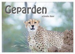Geparden - schnelle Jäger (Wandkalender 2024 DIN A2 quer), CALVENDO Monatskalender
