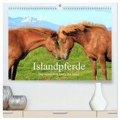 Islandpferde - Die tierischen Stars der Insel (hochwertiger Premium Wandkalender 2024 DIN A2 quer), Kunstdruck in Hochglanz
