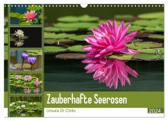 Zauberhafte Seerosen (Wandkalender 2024 DIN A3 quer), CALVENDO Monatskalender - Di Chito, Ursula