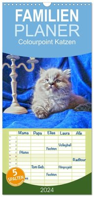 Familienplaner 2024 - Colourpoint Katzen mit 5 Spalten (Wandkalender, 21 x 45 cm) CALVENDO