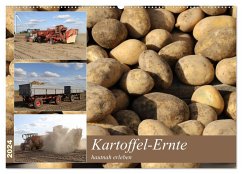 Kartoffel-Ernte - hautnah erleben (Wandkalender 2024 DIN A2 quer), CALVENDO Monatskalender