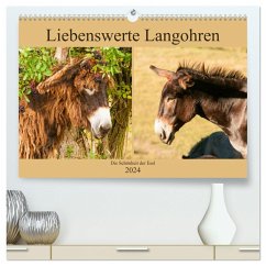 Liebenswerte Langohren - Die Schönheit der Esel (hochwertiger Premium Wandkalender 2024 DIN A2 quer), Kunstdruck in Hochglanz
