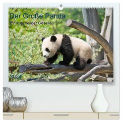 Der Große Panda Ein kuscheliger Geselle (hochwertiger Premium Wandkalender 2024 DIN A2 quer), Kunstdruck in Hochglanz