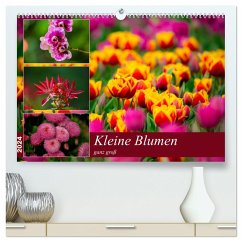 Kleine Blumen ganz groß (hochwertiger Premium Wandkalender 2024 DIN A2 quer), Kunstdruck in Hochglanz - Reznicek, M.