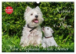 Kobold auf 4 Pfoten - West Highland White Terrier (Wandkalender 2024 DIN A3 quer), CALVENDO Monatskalender - Starick, Sigrid