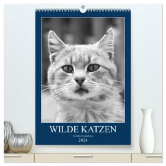 Wilde Katzen - Korsikas Samtpfoten (hochwertiger Premium Wandkalender 2024 DIN A2 hoch), Kunstdruck in Hochglanz