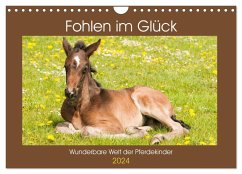 Fohlen im Glück - Wunderbare Welt der Pferdekinder (Wandkalender 2024 DIN A4 quer), CALVENDO Monatskalender - Bölts, Meike