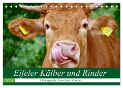 Eifeler Kälber und Rinder (Tischkalender 2024 DIN A5 quer), CALVENDO Monatskalender - Glineur, Jean-Louis