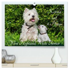 Kobold auf 4 Pfoten - West Highland White Terrier (hochwertiger Premium Wandkalender 2024 DIN A2 quer), Kunstdruck in Hochglanz - Starick, Sigrid