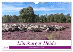 Lüneburger Heide - Faszinierend schön (Wandkalender 2024 DIN A4 quer), CALVENDO Monatskalender