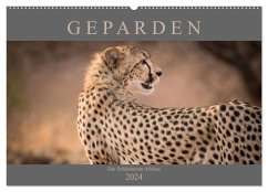 Geparden - Die Schönheiten Afrikas (Wandkalender 2024 DIN A2 quer), CALVENDO Monatskalender