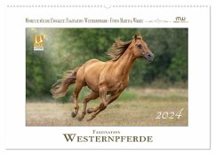 Faszination Westernpferde (Wandkalender 2024 DIN A2 quer), CALVENDO Monatskalender - Wrede - Wredefotografie, Martina