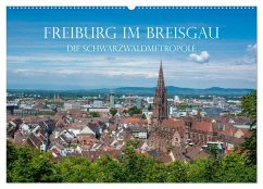 Freiburg im Breisgau - Die Schwarzwaldmetropole (Wandkalender 2024 DIN A2 quer), CALVENDO Monatskalender