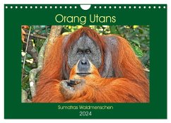 Orang Utans Sumatras Waldmenschen (Wandkalender 2024 DIN A4 quer), CALVENDO Monatskalender