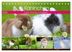 Kaninchen. Putzig, flauschig und geliebt (Tischkalender 2024 DIN A5 quer), CALVENDO Monatskalender