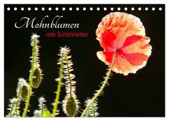 Mohnblumen - rote Schönheiten (Tischkalender 2024 DIN A5 quer), CALVENDO Monatskalender