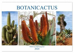 BOTANICACTUS Mallorcas Kakteengarten (Wandkalender 2024 DIN A2 quer), CALVENDO Monatskalender