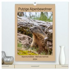 Putzige Alpenbewohner - Alpenmurmeltiere (hochwertiger Premium Wandkalender 2024 DIN A2 hoch), Kunstdruck in Hochglanz - Di Chito, Ursula