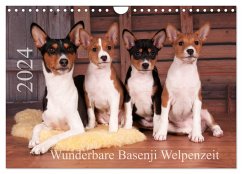 Wunderbare Basenji Welpenzeit (Wandkalender 2024 DIN A4 quer), CALVENDO Monatskalender