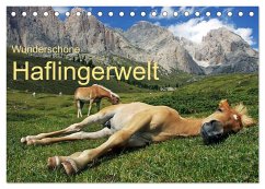 Wunderschöne Haflingerwelt (Tischkalender 2024 DIN A5 quer), CALVENDO Monatskalender