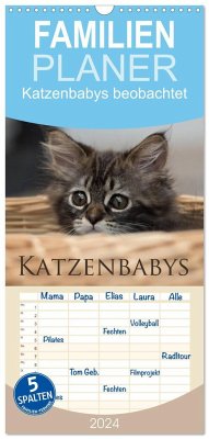 Familienplaner 2024 - Katzenbabys beobachtet mit 5 Spalten (Wandkalender, 21 x 45 cm) CALVENDO