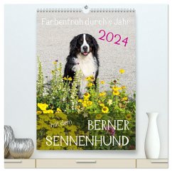 Farbenfroh durch's Jahr mit dem Berner Sennenhund (hochwertiger Premium Wandkalender 2024 DIN A2 hoch), Kunstdruck in Hochglanz