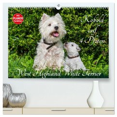 Kobold auf 4 Pfoten - West Highland White Terrier (hochwertiger Premium Wandkalender 2024 DIN A2 quer), Kunstdruck in Hochglanz