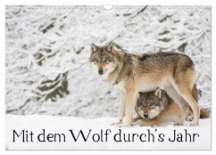 Mit dem Wolf durch's Jahr (Wandkalender 2024 DIN A3 quer), CALVENDO Monatskalender