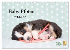 Baby Pfoten (Wandkalender 2024 DIN A3 quer), CALVENDO Monatskalender