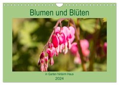 Blumen und Blüten im Garten hinterm Haus (Wandkalender 2024 DIN A4 quer), CALVENDO Monatskalender