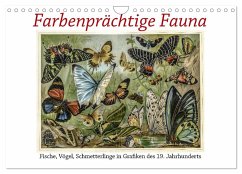 Farbenprächtige Fauna. Fische, Vögel, Schmetterlinge in Grafiken des 19 Jahrhunderts (Wandkalender 2024 DIN A4 quer), CALVENDO Monatskalender