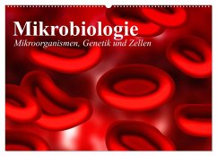 Mikrobiologie. Mikroorganismen, Genetik und Zellen (Wandkalender 2024 DIN A2 quer), CALVENDO Monatskalender - Stanzer, Elisabeth