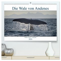 Die Wale von Andenes (hochwertiger Premium Wandkalender 2024 DIN A2 quer), Kunstdruck in Hochglanz