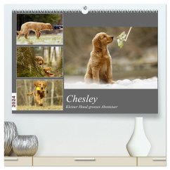 Chesley Kleiner Hund Grosses Abenteuer (hochwertiger Premium Wandkalender 2024 DIN A2 quer), Kunstdruck in Hochglanz - Bea Müller, Hundfotografin