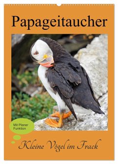 Papageitaucher - Kleine Vögel im Frack (Wandkalender 2024 DIN A2 hoch), CALVENDO Monatskalender - Paul - Babett's Bildergalerie, Babett
