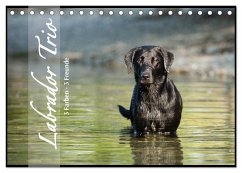 Labrador Trio - 3 Farben, 3 Freunde (Tischkalender 2024 DIN A5 quer), CALVENDO Monatskalender